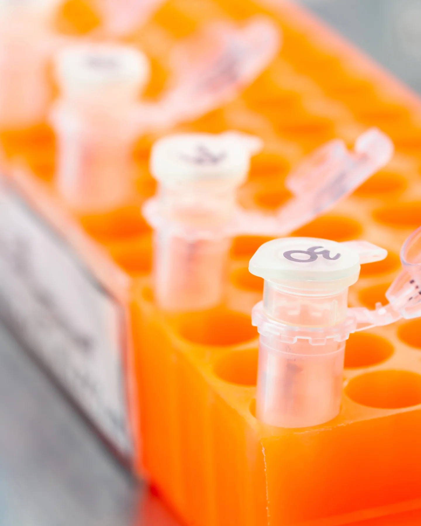 What Our Pharmacogenomics Report Covers