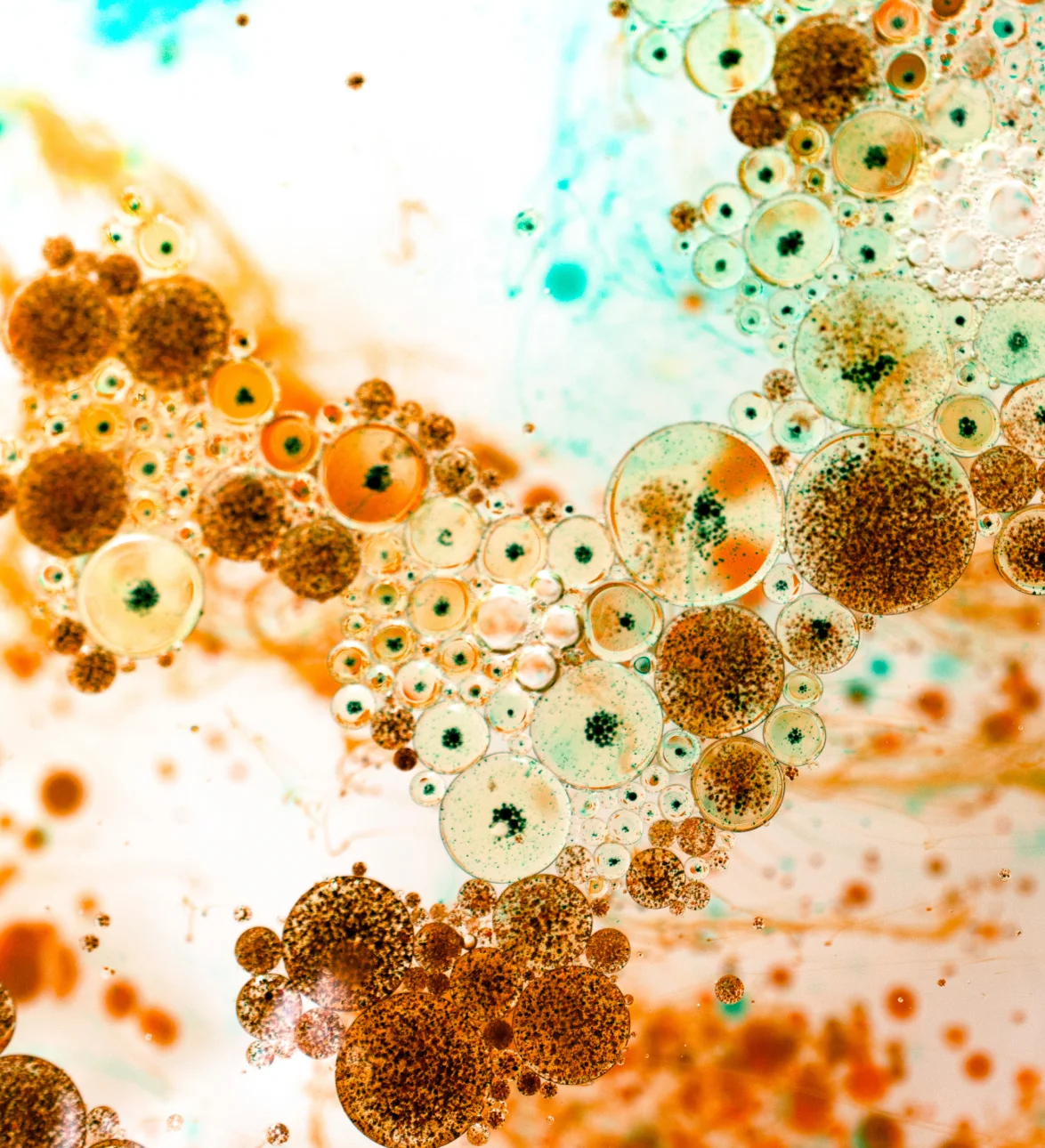 Metabolite & Functional Insights